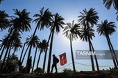 پیاده روی زائرین اربعین حسینی از طریق العلما