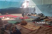 قایناتی‌ها در عمود عشق؛ خدمت به زائران اربعین