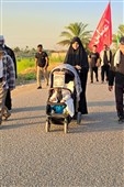 حضور خانوادگی مردم در اربعین حسینی