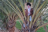 حضور خانوادگی مردم در اربعین حسینی