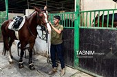 مسابقات پرش با اسب جام آلفا