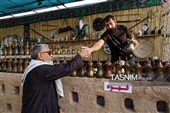 موکب های خدمت رسانی به زائرین اربعین حسینی  در مرز چذابه