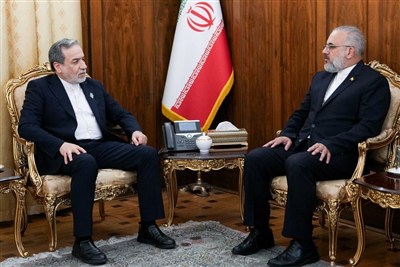 عراقچی: از همه ظرفیت‌ها برای دفاع از منافع ملی استفاده می‌کنیم