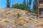 دست متصرفان از اراضی ملی آسیابدرگاه کوتاه شد