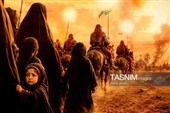 شور اربعین در اصفهان؛ هیأت‌ها آماده خدمت به زائران