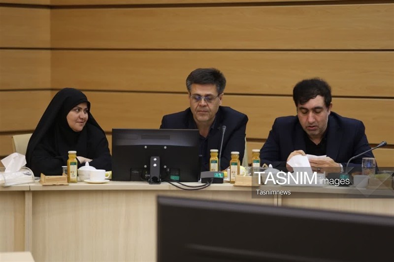 اخبار زنجان , حامل های انرژی , 