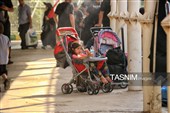 کودکان اربعینی، پابه‌پای خانواده از خسروی تا کربلا