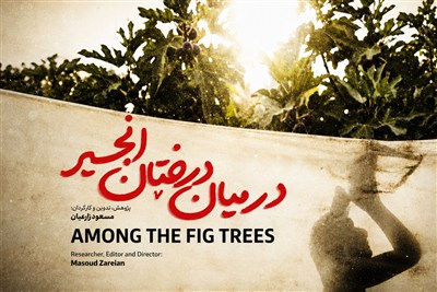 «در میان درختان انجیر»؛ روایت ناب موکب‌داری مادر عراقی در مسیر اربعین