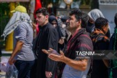 مراسم عزاداری اربعین حسینی - بین الحرمین