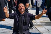 مراسم عزاداری اربعین حسینی - بین الحرمین
