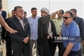 سفر وزیر بهداشت به لامرد