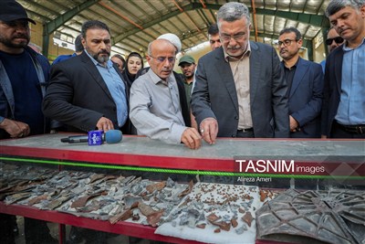 سفر وزیر بهداشت به لامرد