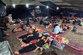 اسکان 6 هزار زائر اربعین در موکب امام رضا(ع)