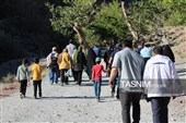 روایت تصویری از یک صبح خانوادگی رسانه‌ای