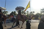 نشانه‌های خون‌خواهی؛ از موکب‌ها تا افقِ حق