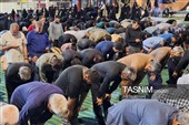 160 شب؛ خراسان جنوبی در میدان