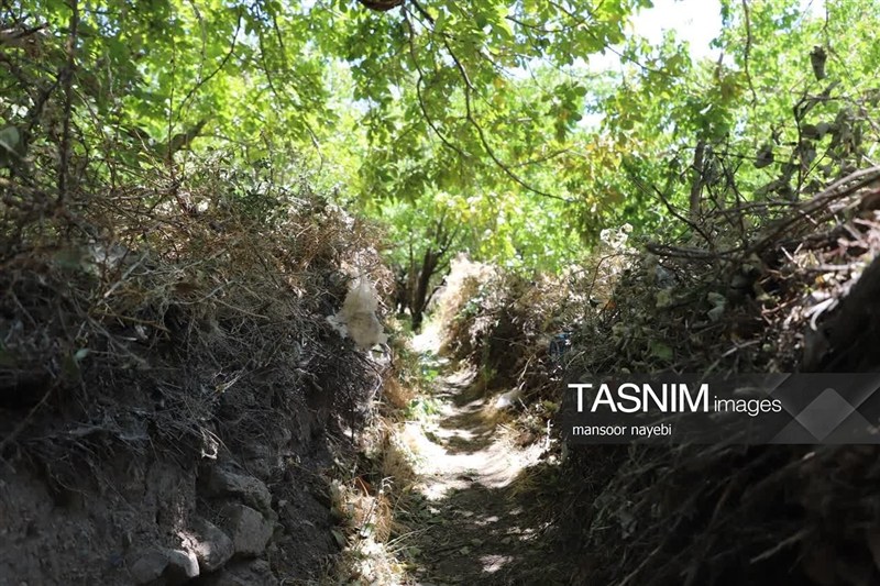 اخبار استان خراسان جنوبی , خبرگزاری تسنیم , گردشگری , 