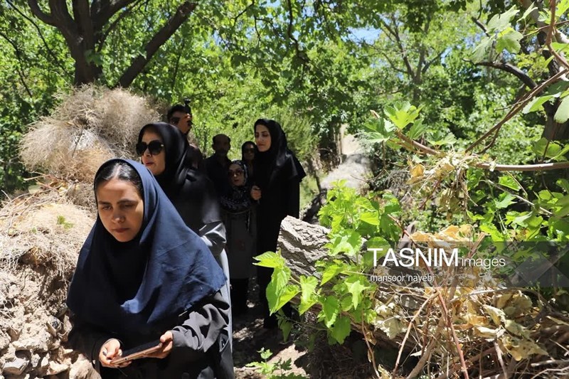 اخبار استان خراسان جنوبی , خبرگزاری تسنیم , گردشگری , 