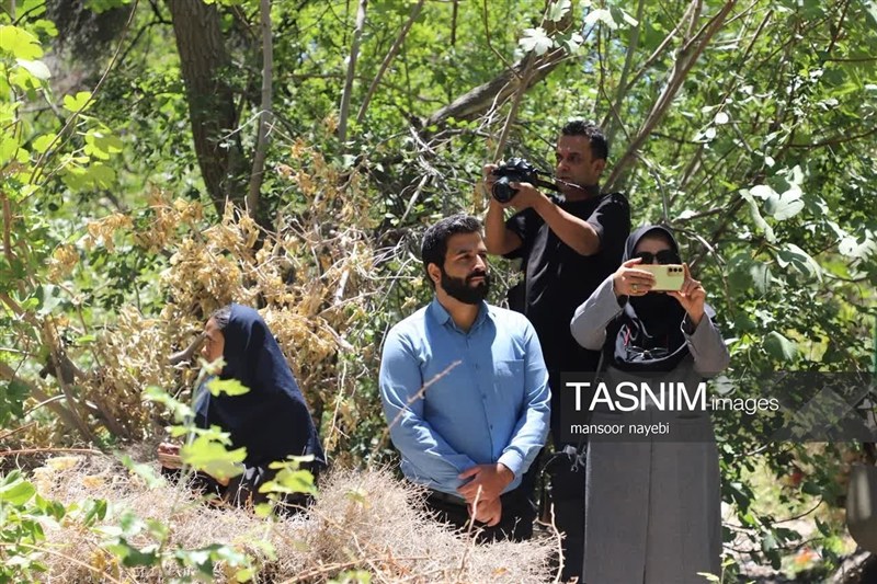 اخبار استان خراسان جنوبی , خبرگزاری تسنیم , گردشگری , 