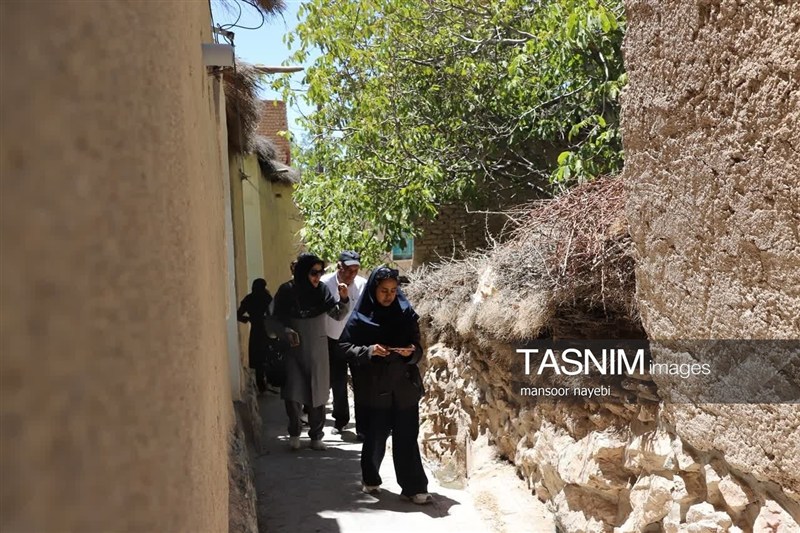 اخبار استان خراسان جنوبی , خبرگزاری تسنیم , گردشگری , 