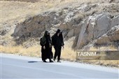 هم‌قدم با زائران پیاده امام رضا (ع) 
