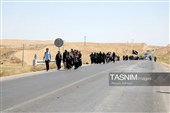 هم‌قدم با زائران پیاده امام رضا (ع) 