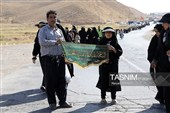 هم‌قدم با زائران پیاده امام رضا (ع) 