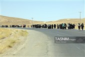 هم‌قدم با زائران پیاده امام رضا (ع) 