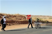 هم‌قدم با زائران پیاده امام رضا (ع) 