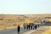 هم‌قدم با زائران پیاده امام رضا (ع) 
