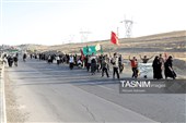 هم‌قدم با زائران پیاده امام رضا (ع) 