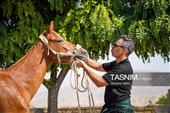 حرکت کاروان اسب‌سواران خراسان‌شمالی به سوی حرم رضوی