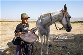 حرکت کاروان اسب‌سواران خراسان‌شمالی به سوی حرم رضوی