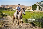 حرکت کاروان اسب‌سواران خراسان‌شمالی به سوی حرم رضوی