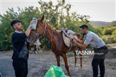 حرکت کاروان اسب‌سواران خراسان‌شمالی به سوی حرم رضوی