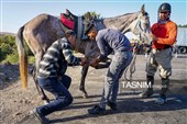 حرکت کاروان اسب‌سواران خراسان‌شمالی به سوی حرم رضوی