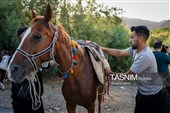 حرکت کاروان اسب‌سواران خراسان‌شمالی به سوی حرم رضوی
