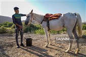 حرکت کاروان اسب‌سواران خراسان‌شمالی به سوی حرم رضوی