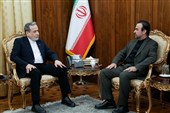 عراقچی و نجفی راهکارهای صیانت از حقوق هسته‌ای ایران را بررسی کردند