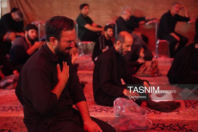 حضرت معصومه (س) , امام رضا (ع) , اخبار قم ,