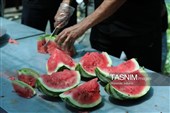 حال وهوای خدمتگزاران ایران امام رضا(ع) در عرصه میدان شهدای مشهد