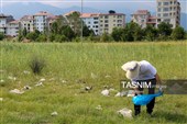 پاکسازی ساحل کلاچای در روز دریای خزر