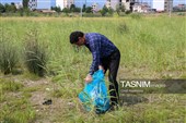پاکسازی ساحل کلاچای در روز دریای خزر