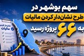 افزایش پروژه‌های «نشان‌دار کردن مالیات» در بوشهر به 66 طرح