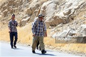 زائران پیاده حرم مطهر امام رضا (ع)