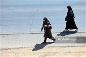 زائران پیاده حرم مطهر امام رضا (ع)