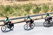 زائران پیاده حرم مطهر امام رضا (ع)
