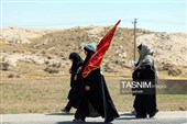 زائران پیاده حرم مطهر امام رضا (ع)