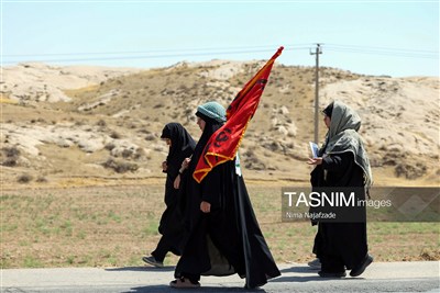زائران پیاده حرم مطهر امام رضا (ع)