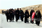 زائران پیاده حرم مطهر امام رضا (ع)